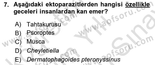 Temel Veteriner Parazitoloji Dersi 2024 - 2025 Yılı (Final) Dönem Sonu Sınav Soruları 7. Soru
