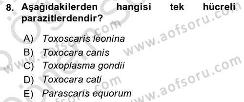 Temel Veteriner Parazitoloji Dersi 2024 - 2025 Yılı (Final) Dönem Sonu Sınav Soruları 8. Soru