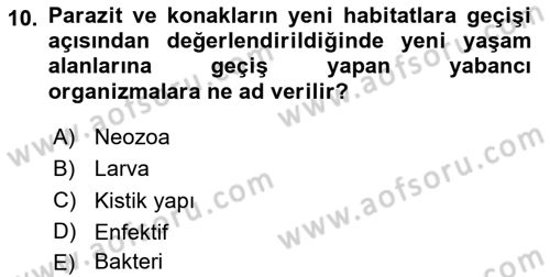 Temel Veteriner Parazitoloji Dersi 2024 - 2025 Yılı Yaz Okulu Sınav Soruları 10. Soru