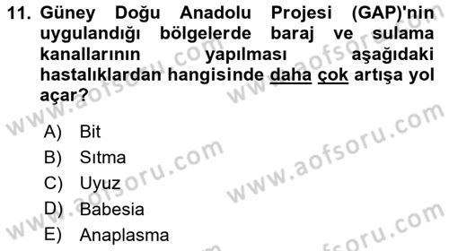 Temel Veteriner Parazitoloji Dersi 2024 - 2025 Yılı Yaz Okulu Sınav Soruları 11. Soru