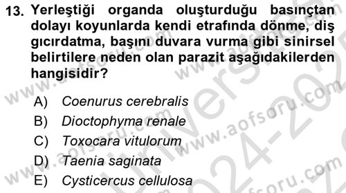 Temel Veteriner Parazitoloji Dersi 2024 - 2025 Yılı Yaz Okulu Sınav Soruları 13. Soru