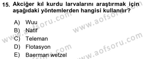 Temel Veteriner Parazitoloji Dersi 2024 - 2025 Yılı Yaz Okulu Sınav Soruları 15. Soru
