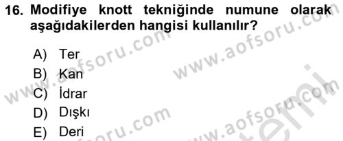 Temel Veteriner Parazitoloji Dersi 2024 - 2025 Yılı Yaz Okulu Sınav Soruları 16. Soru
