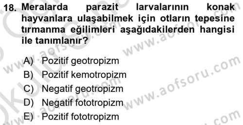 Temel Veteriner Parazitoloji Dersi 2024 - 2025 Yılı Yaz Okulu Sınav Soruları 18. Soru