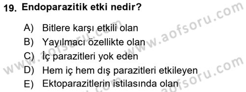 Temel Veteriner Parazitoloji Dersi 2024 - 2025 Yılı Yaz Okulu Sınav Soruları 19. Soru