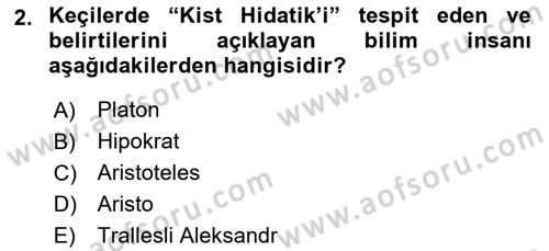 Temel Veteriner Parazitoloji Dersi 2024 - 2025 Yılı Yaz Okulu Sınav Soruları 2. Soru