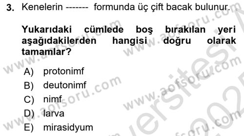 Temel Veteriner Parazitoloji Dersi 2024 - 2025 Yılı Yaz Okulu Sınav Soruları 3. Soru