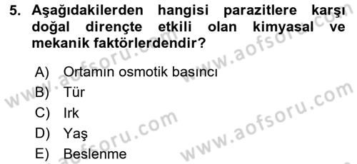 Temel Veteriner Parazitoloji Dersi 2024 - 2025 Yılı Yaz Okulu Sınav Soruları 5. Soru