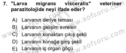 Temel Veteriner Parazitoloji Dersi 2024 - 2025 Yılı Yaz Okulu Sınav Soruları 7. Soru
