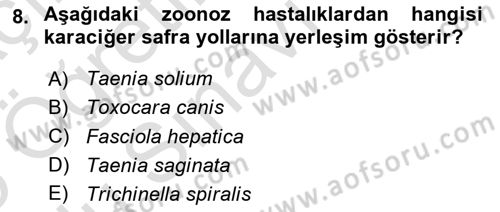 Temel Veteriner Parazitoloji Dersi 2024 - 2025 Yılı Yaz Okulu Sınav Soruları 8. Soru