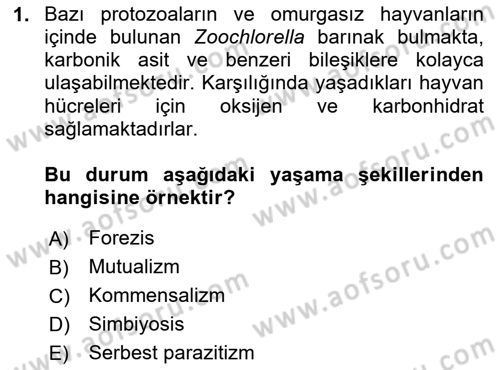 Temel Veteriner Parazitoloji Dersi 2025 - 2026 Yılı (Vize) Ara Sınav Soruları 1. Soru
