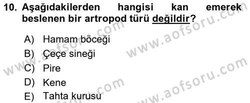 Temel Veteriner Parazitoloji Dersi 2025 - 2026 Yılı (Vize) Ara Sınav Soruları 10. Soru