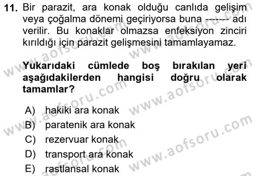 Temel Veteriner Parazitoloji Dersi 2025 - 2026 Yılı (Vize) Ara Sınav Soruları 11. Soru