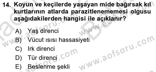 Temel Veteriner Parazitoloji Dersi 2025 - 2026 Yılı (Vize) Ara Sınav Soruları 14. Soru