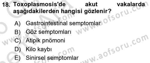 Temel Veteriner Parazitoloji Dersi 2025 - 2026 Yılı (Vize) Ara Sınav Soruları 18. Soru