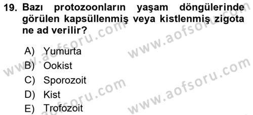 Temel Veteriner Parazitoloji Dersi 2025 - 2026 Yılı (Vize) Ara Sınav Soruları 19. Soru