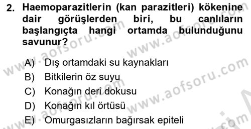 Temel Veteriner Parazitoloji Dersi 2025 - 2026 Yılı (Vize) Ara Sınav Soruları 2. Soru