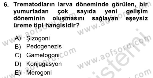Temel Veteriner Parazitoloji Dersi 2025 - 2026 Yılı (Vize) Ara Sınav Soruları 6. Soru