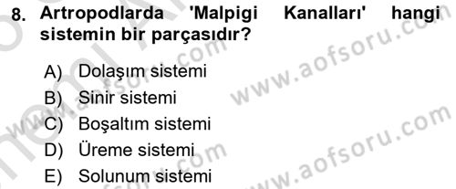 Temel Veteriner Parazitoloji Dersi 2025 - 2026 Yılı (Vize) Ara Sınav Soruları 8. Soru