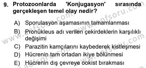 Temel Veteriner Parazitoloji Dersi 2025 - 2026 Yılı (Vize) Ara Sınav Soruları 9. Soru
