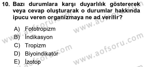 Temel Veteriner Parazitoloji Dersi 2025 - 2026 Yılı (Final) Dönem Sonu Sınav Soruları 10. Soru