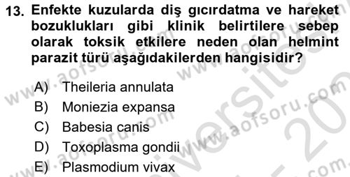 Temel Veteriner Parazitoloji Dersi 2025 - 2026 Yılı (Final) Dönem Sonu Sınav Soruları 13. Soru