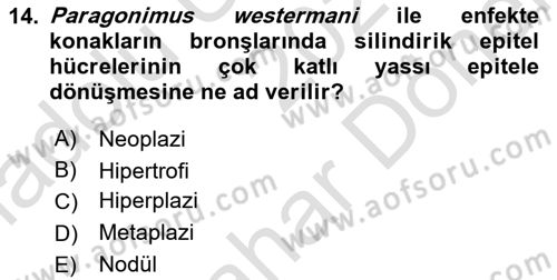 Temel Veteriner Parazitoloji Dersi 2025 - 2026 Yılı (Final) Dönem Sonu Sınav Soruları 14. Soru