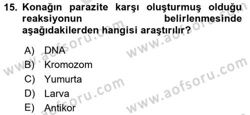 Temel Veteriner Parazitoloji Dersi 2025 - 2026 Yılı (Final) Dönem Sonu Sınav Soruları 15. Soru