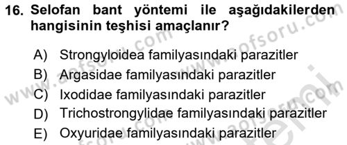 Temel Veteriner Parazitoloji Dersi 2025 - 2026 Yılı (Final) Dönem Sonu Sınav Soruları 16. Soru