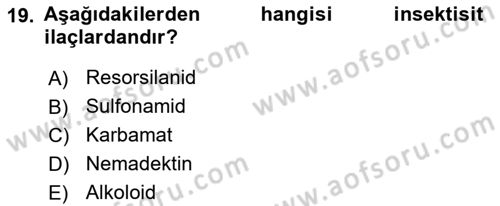 Temel Veteriner Parazitoloji Dersi 2025 - 2026 Yılı (Final) Dönem Sonu Sınav Soruları 19. Soru