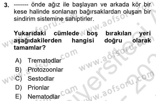 Temel Veteriner Parazitoloji Dersi 2025 - 2026 Yılı (Final) Dönem Sonu Sınav Soruları 3. Soru