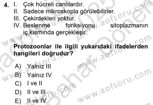 Temel Veteriner Parazitoloji Dersi 2025 - 2026 Yılı (Final) Dönem Sonu Sınav Soruları 4. Soru