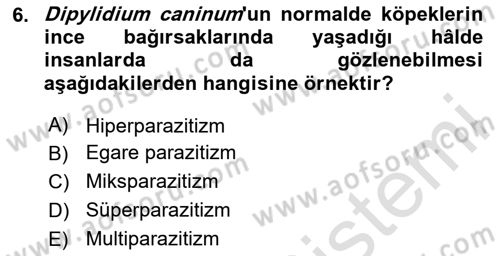 Temel Veteriner Parazitoloji Dersi 2025 - 2026 Yılı (Final) Dönem Sonu Sınav Soruları 6. Soru