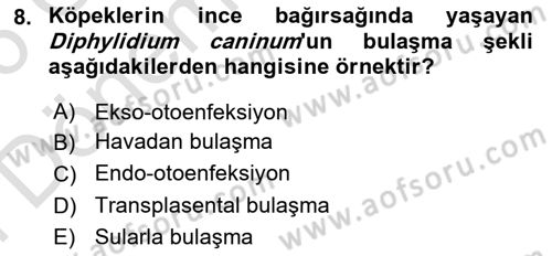 Temel Veteriner Parazitoloji Dersi 2025 - 2026 Yılı (Final) Dönem Sonu Sınav Soruları 8. Soru