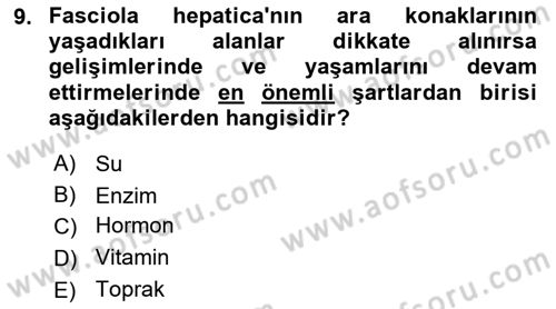 Temel Veteriner Parazitoloji Dersi 2025 - 2026 Yılı (Final) Dönem Sonu Sınav Soruları 9. Soru