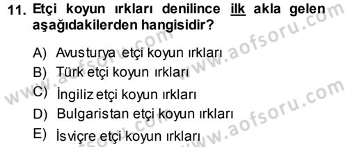 Temel Zootekni Dersi 2013 - 2014 Yılı (Vize) Ara Sınavı 11. Soru