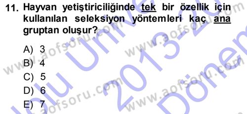 Temel Zootekni Dersi 2013 - 2014 Yılı (Final) Dönem Sonu Sınavı 11. Soru