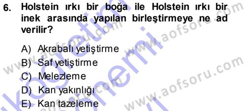 Temel Zootekni Dersi 2013 - 2014 Yılı (Final) Dönem Sonu Sınavı 6. Soru