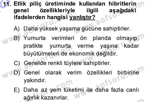 Temel Zootekni Dersi 2014 - 2015 Yılı (Vize) Ara Sınavı 11. Soru