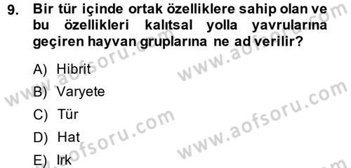 Temel Zootekni Dersi 2014 - 2015 Yılı (Vize) Ara Sınavı 9. Soru