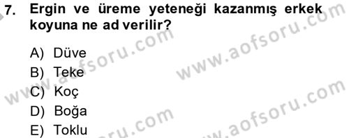 Temel Zootekni Dersi 2014 - 2015 Yılı (Final) Dönem Sonu Sınavı 7. Soru