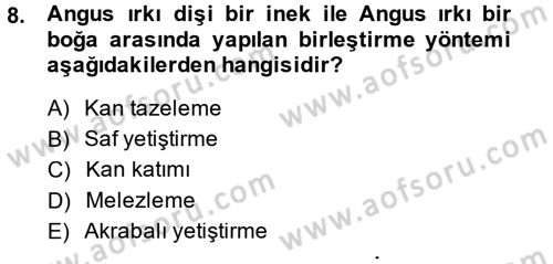 Temel Zootekni Dersi 2014 - 2015 Yılı (Final) Dönem Sonu Sınavı 8. Soru