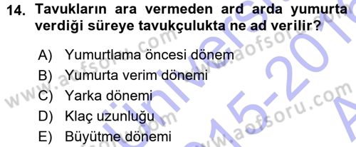 Temel Zootekni Dersi 2015 - 2016 Yılı (Vize) Ara Sınavı 14. Soru