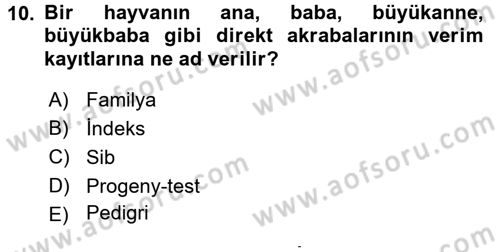 Temel Zootekni Dersi 2015 - 2016 Yılı (Final) Dönem Sonu Sınavı 10. Soru