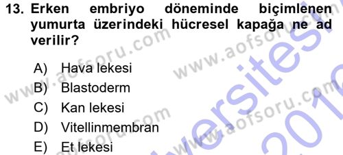 Temel Zootekni Dersi 2015 - 2016 Yılı (Final) Dönem Sonu Sınavı 13. Soru