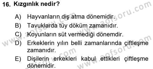 Temel Zootekni Dersi 2016 - 2017 Yılı (Vize) Ara Sınavı 16. Soru