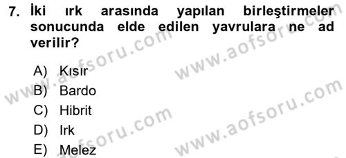 Temel Zootekni Dersi 2016 - 2017 Yılı (Vize) Ara Sınavı 7. Soru