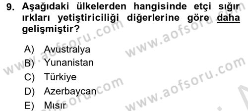 Temel Zootekni Dersi 2016 - 2017 Yılı (Vize) Ara Sınavı 9. Soru