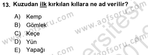Temel Zootekni Dersi 2017 - 2018 Yılı (Vize) Ara Sınav Soruları 13. Soru
