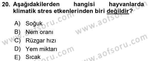 Temel Zootekni Dersi 2017 - 2018 Yılı (Vize) Ara Sınavı 20. Soru